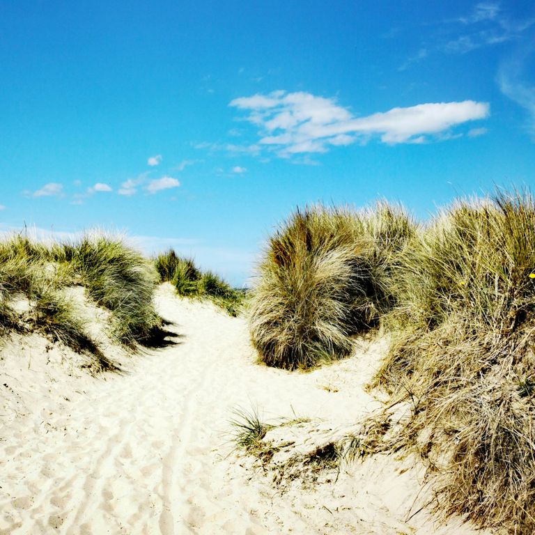 Dünen und Strand